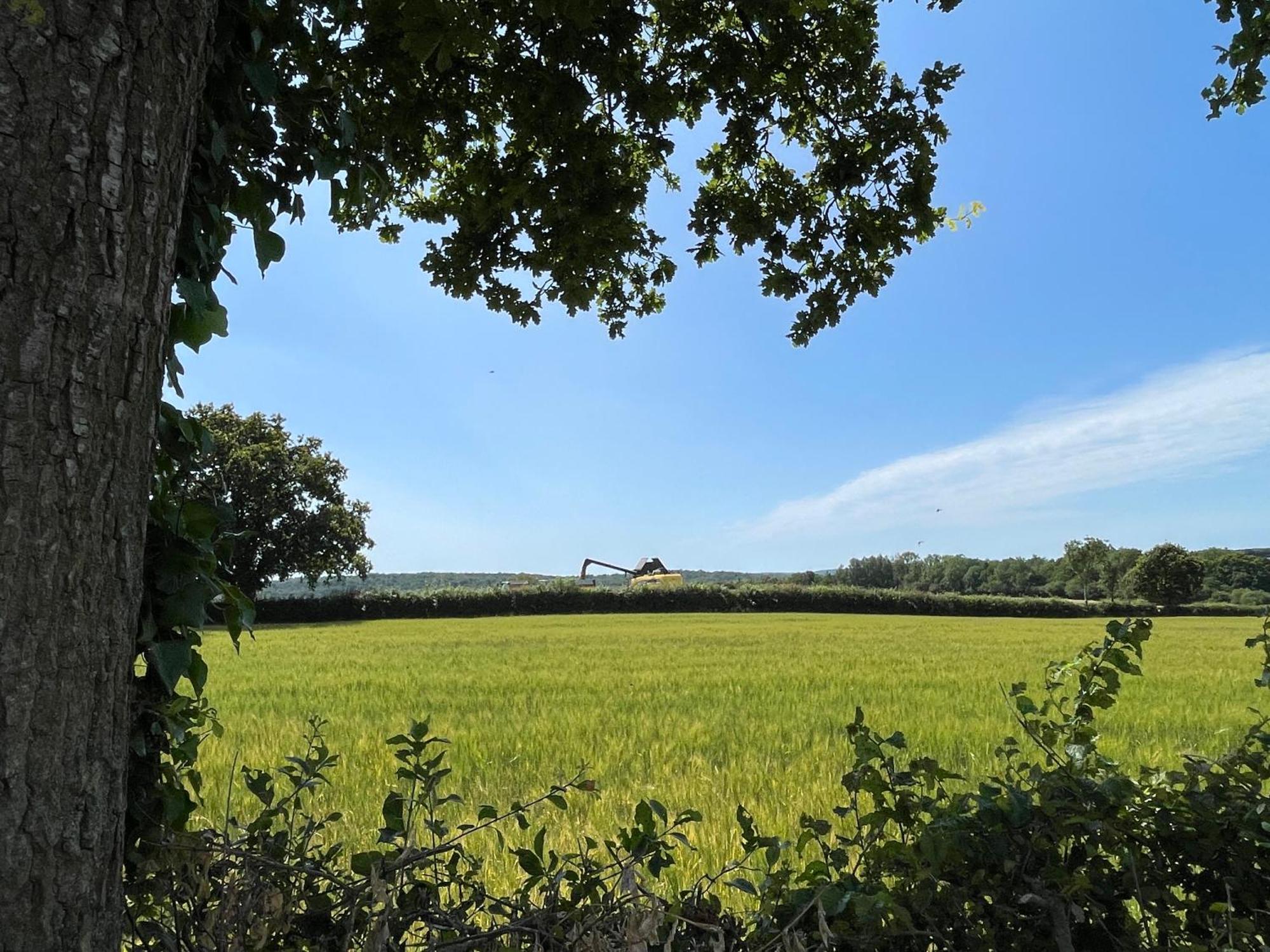 Chez Line & Mon Holiday home *